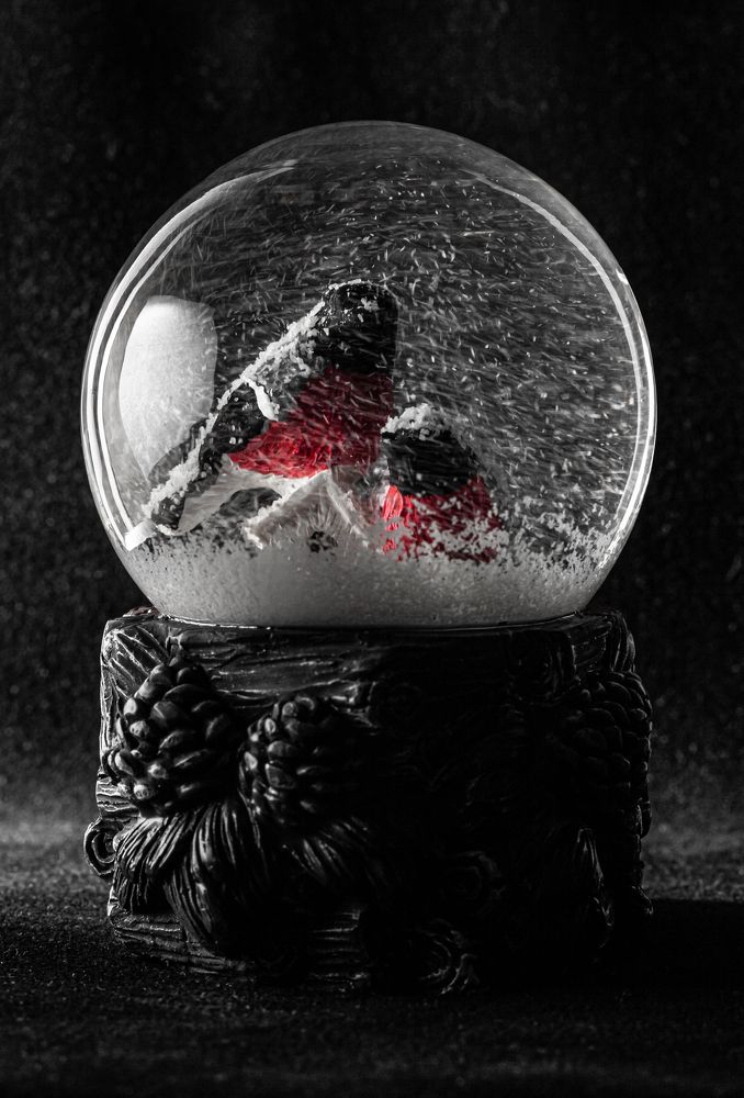 Photograph by Dmitry Dash