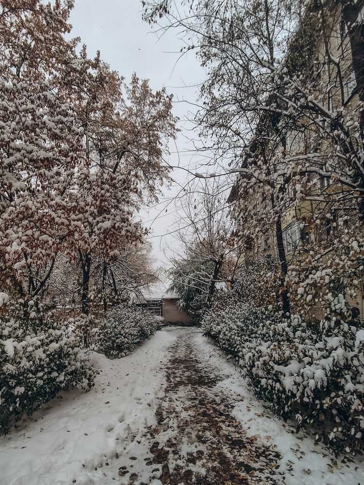 Photograph by Залина