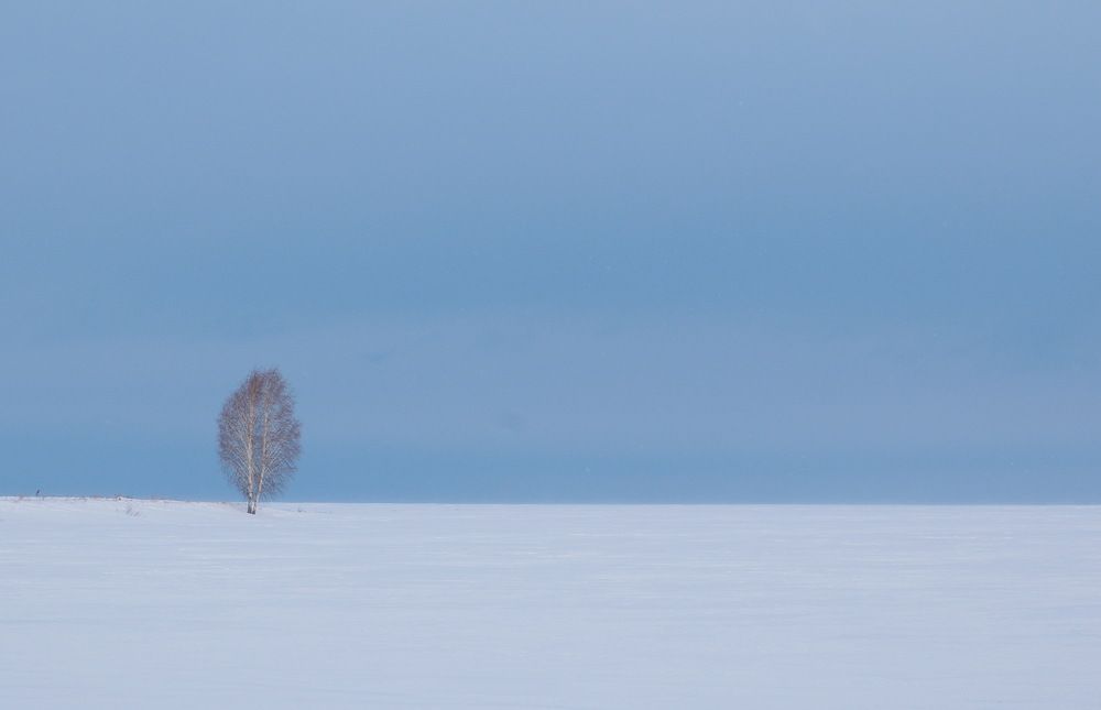 Одиночество...