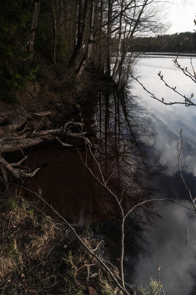 Photograph by Nataliya Starikova