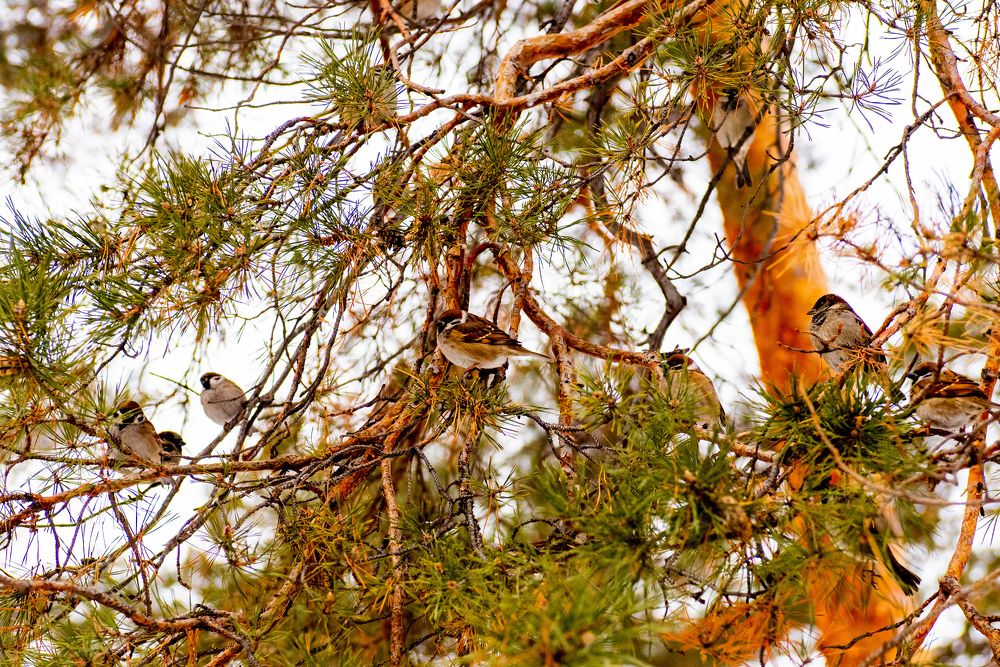 Photograph by Евгений Манаев