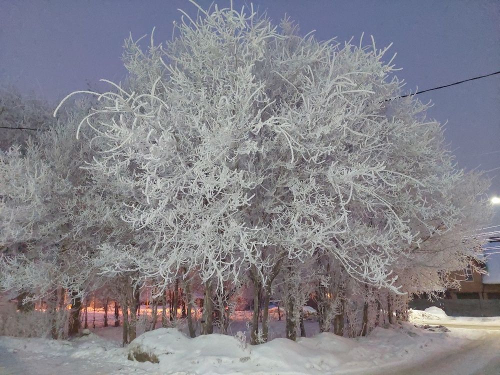 Photograph by Андрей_Юденков