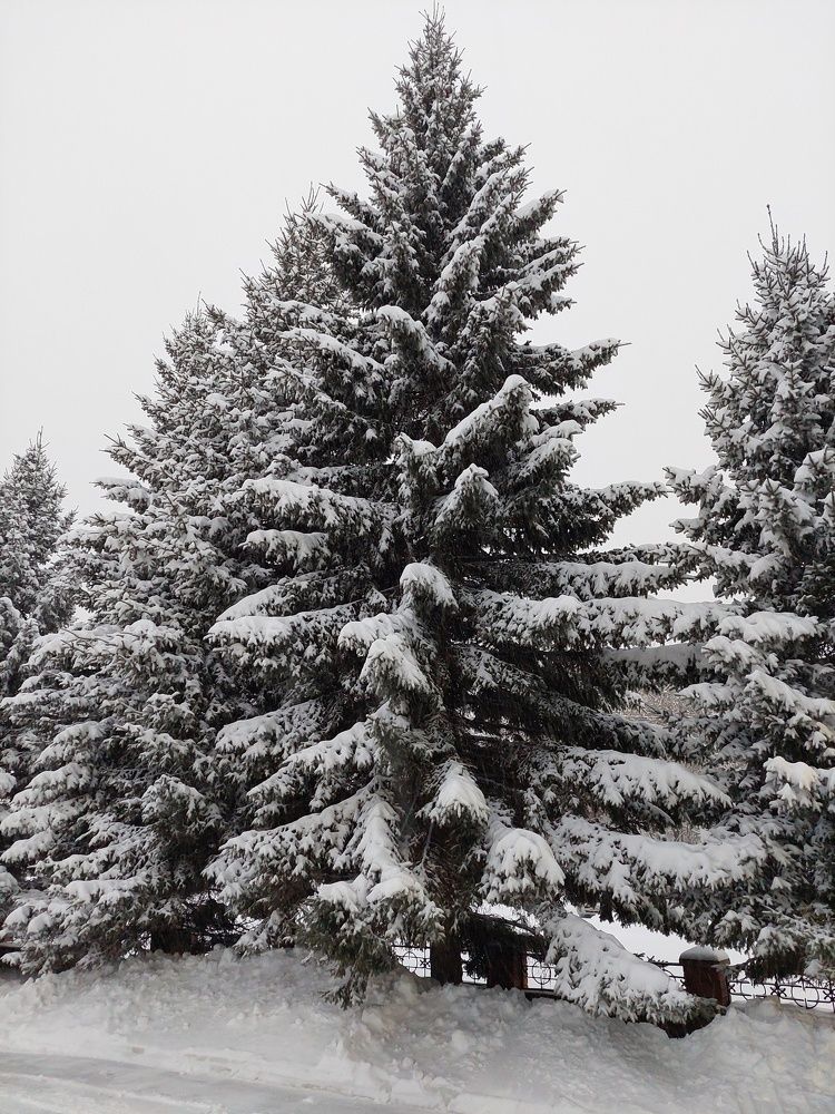 Photograph by Андрей_Юденков