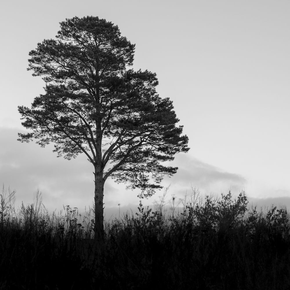 Photograph by Dmitry Dash