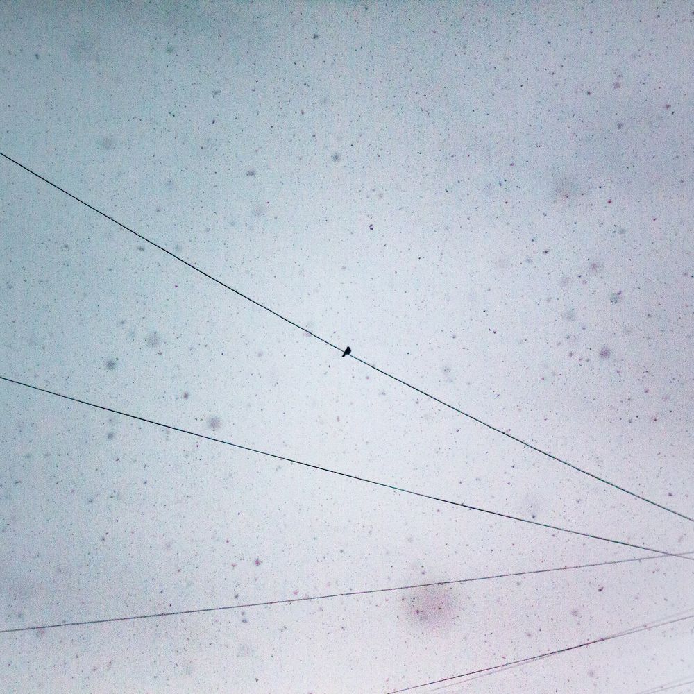 Photograph by Dmitry Dash