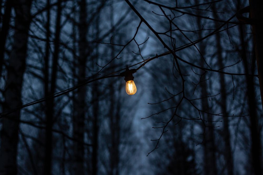 Photograph by Dmitry Dash