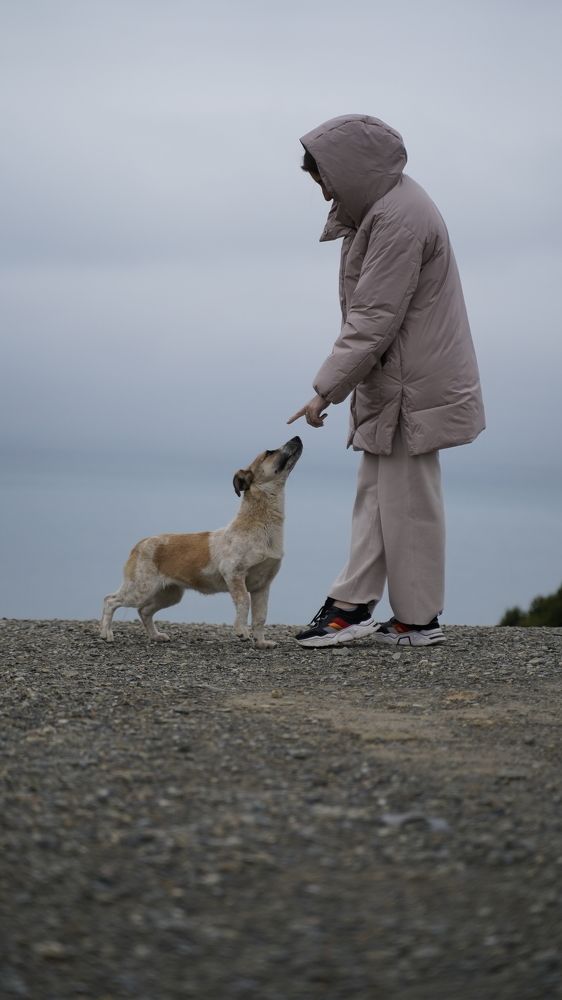 Photograph by Денис Жачев