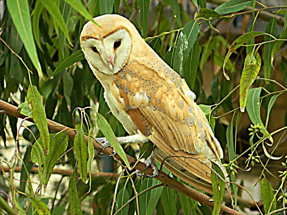 Фотография автора Сергей Рапопорт