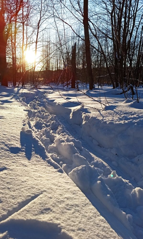 Photograph by Tania Yakushina