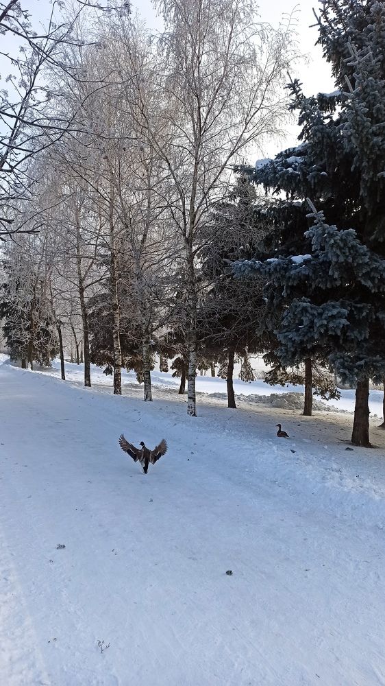 Photograph by Tania Yakushina