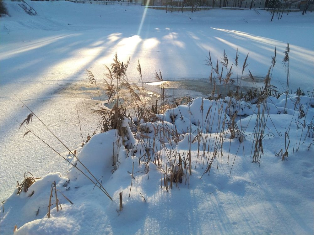 Зимушка зима