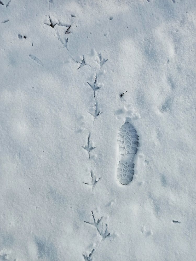 Photograph by Pourya Darband Yourdshahi