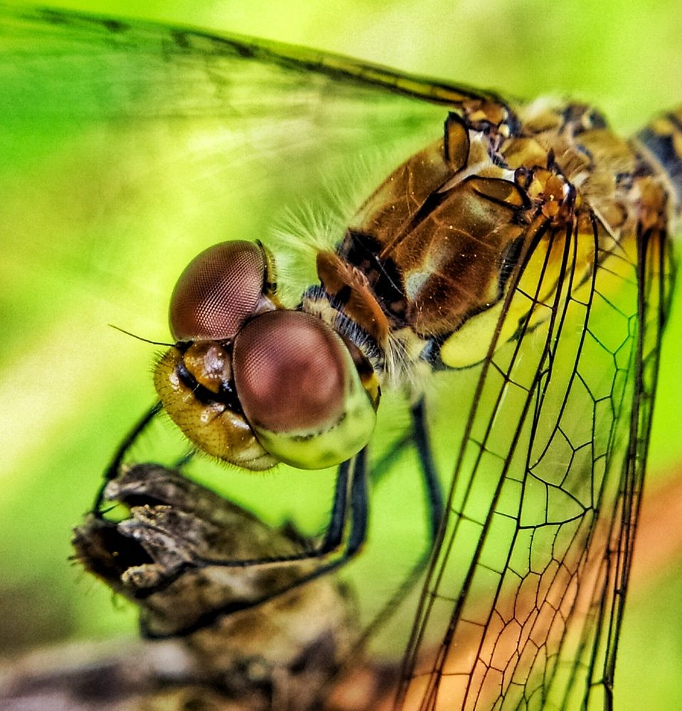 Photograph by Ксения