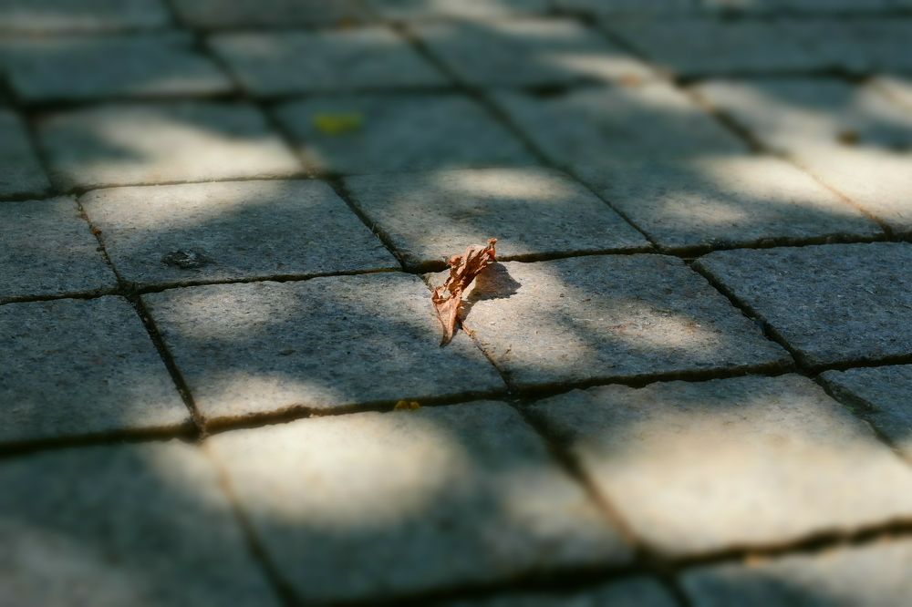 Photograph by Валентина Сытник