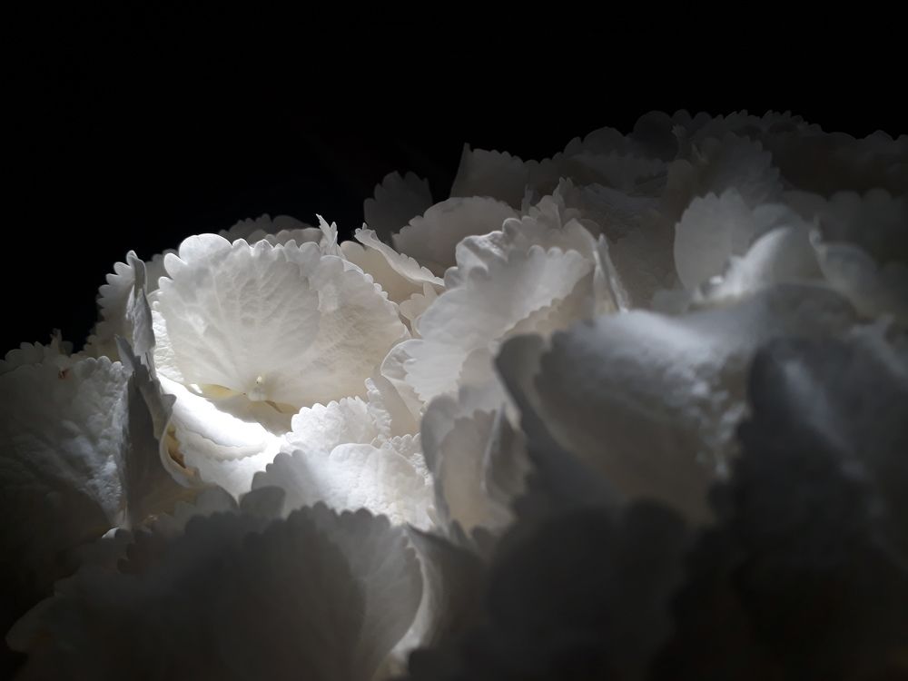 Photograph by Валентина Сытник