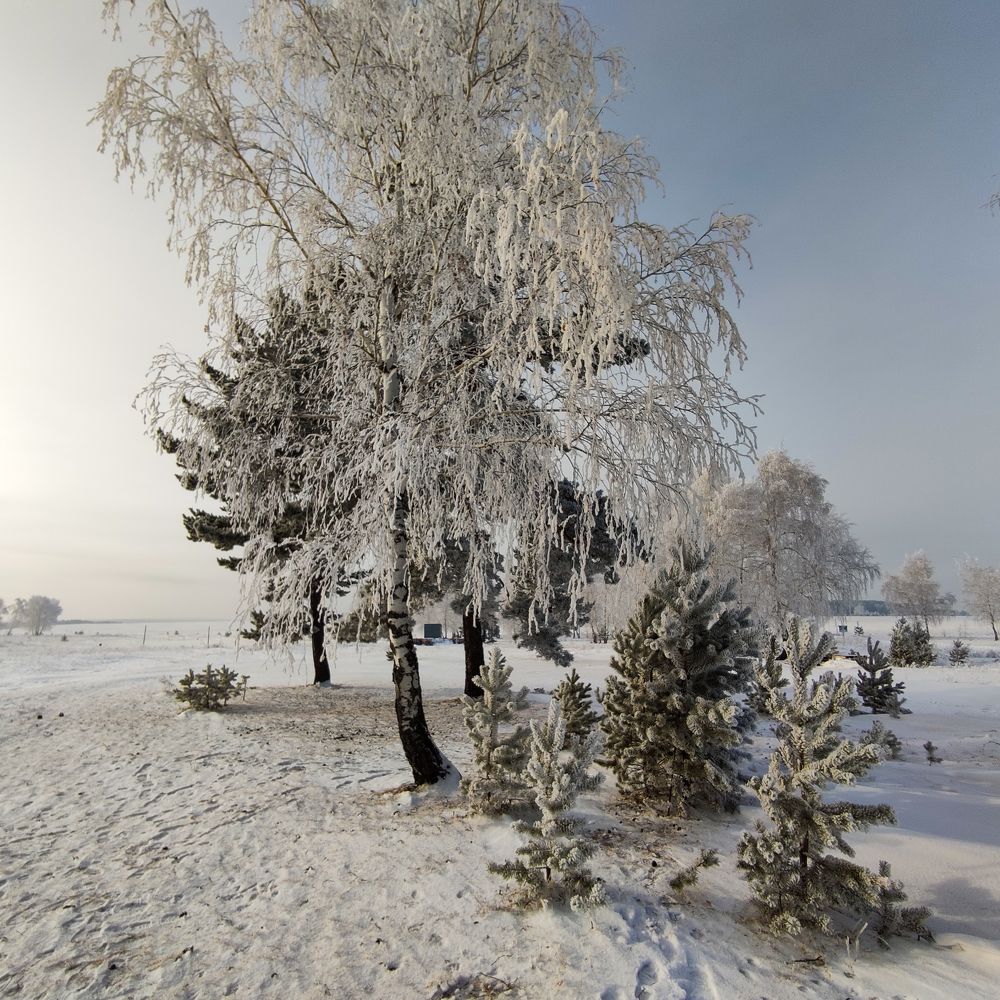 Photograph by Александр