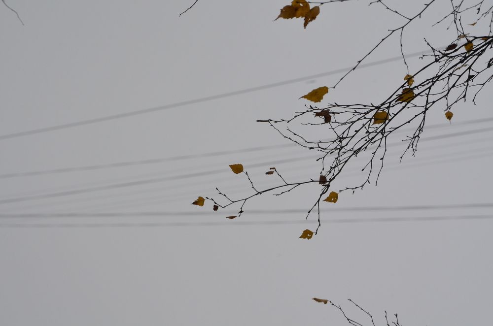 Photograph by Lyubov Makuha