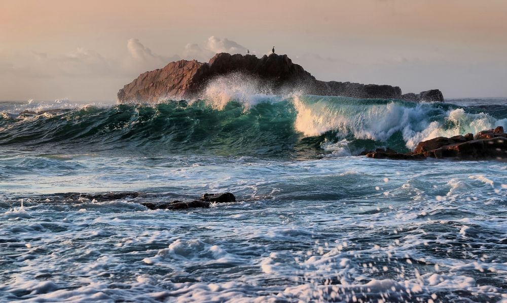 Фотография автора Чекалов Валерий