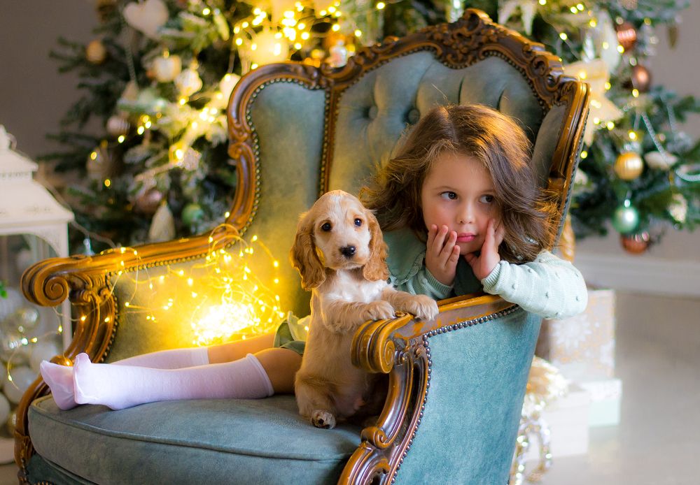 Photograph by Рамиль Борисов