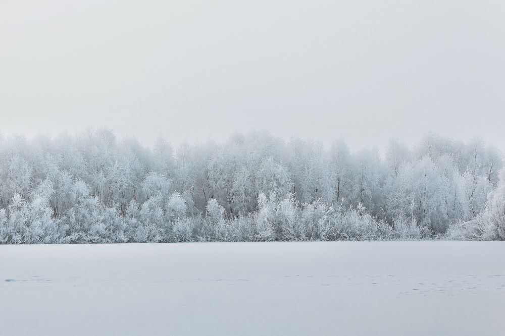 Photograph by Николай Кулагин