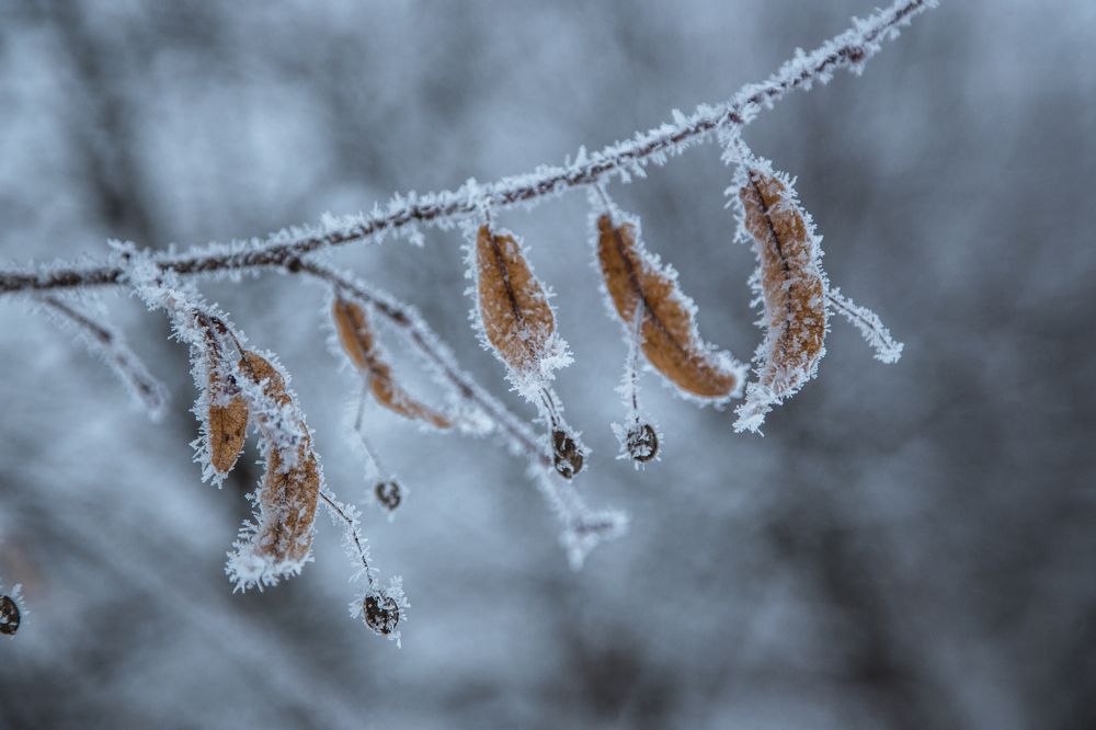 Photograph by Станислава Гордеева