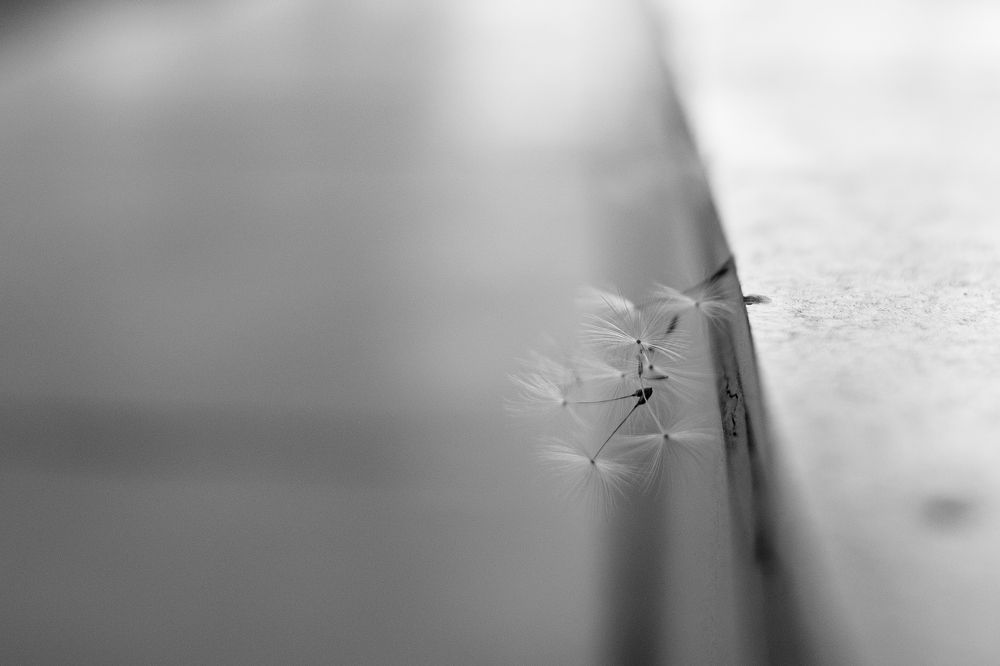 Фотография автора Алексей Арестов