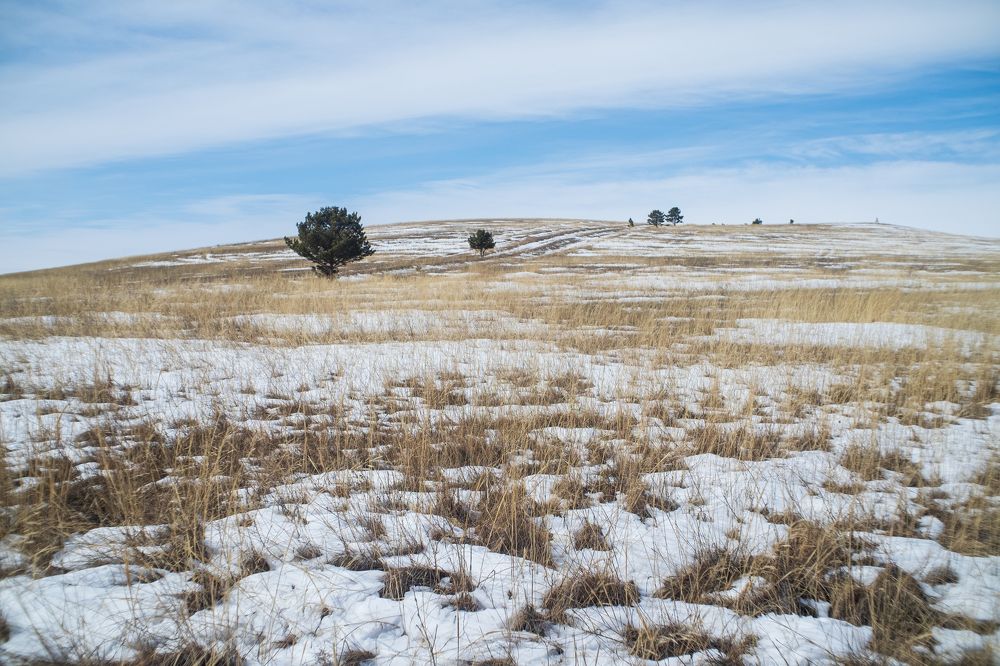 Фотография автора Алексей Арестов