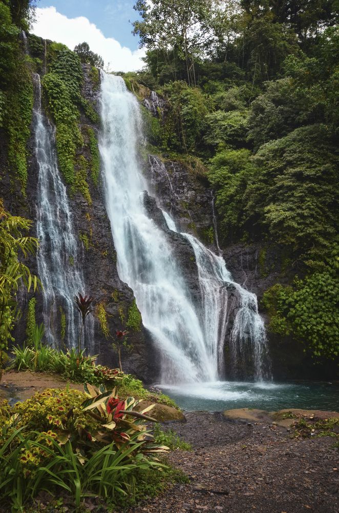 Фотография автора Юлия Широкова