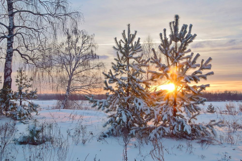 Photograph by Василий Быстрицкий