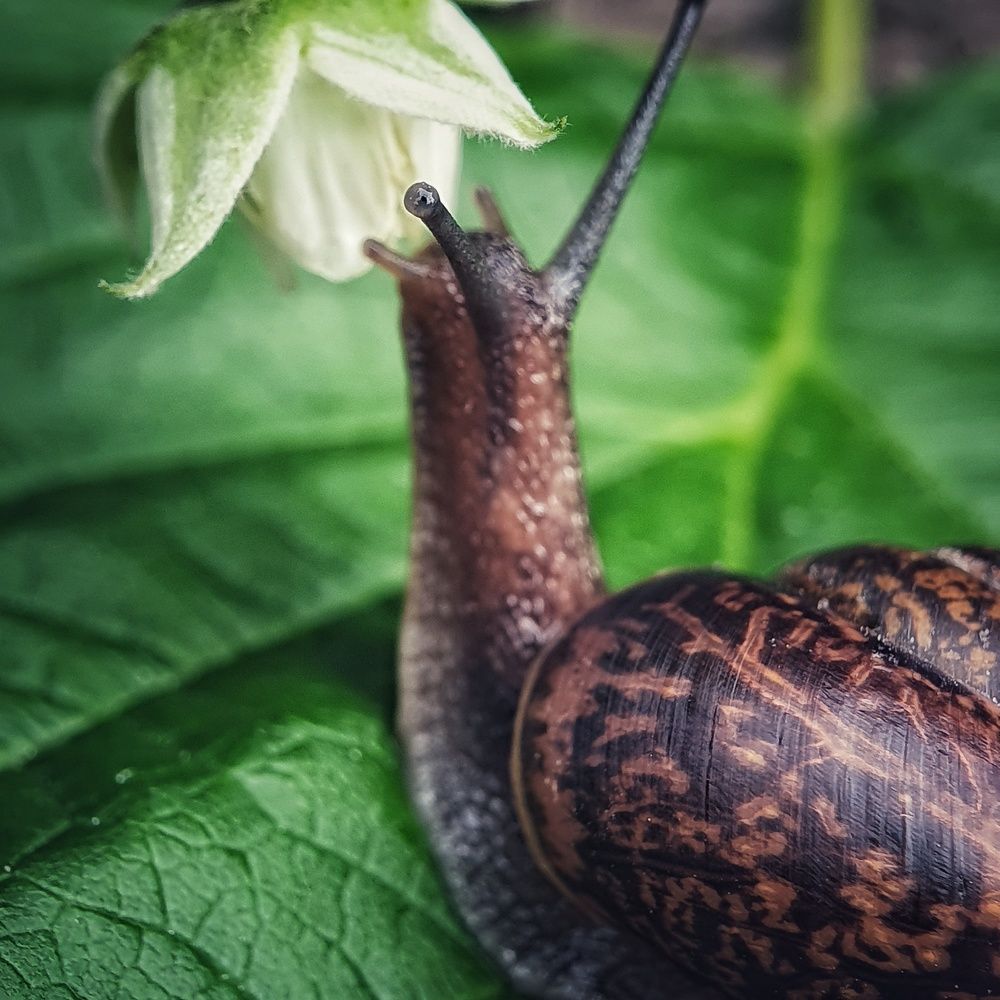 Photograph by Юлия Таран