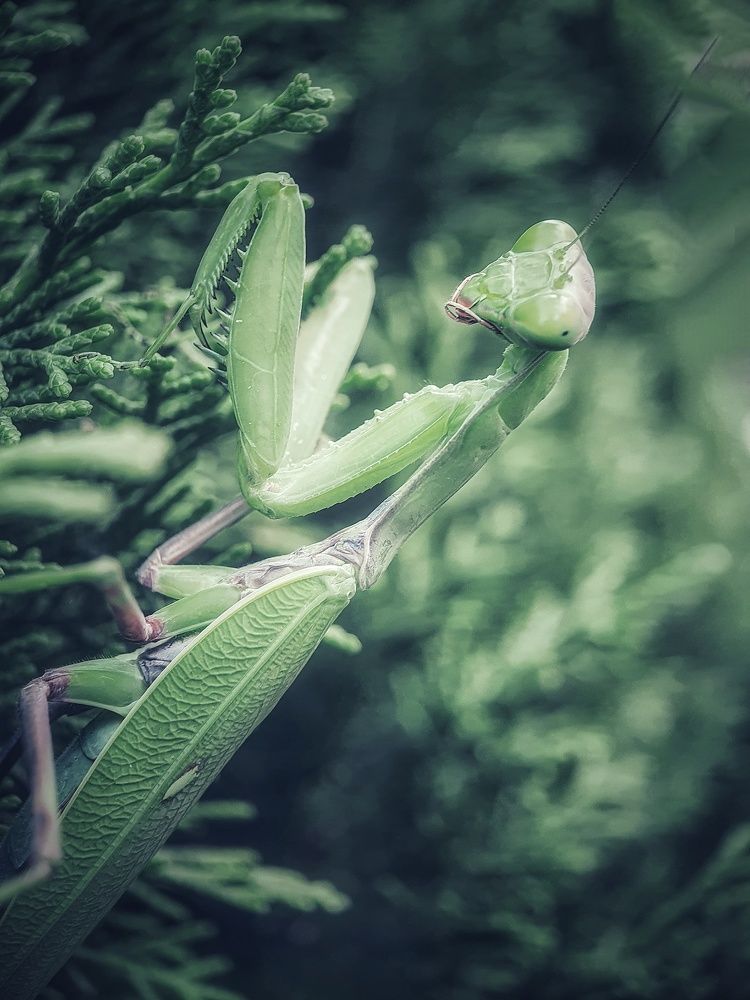 Photograph by Юлия Таран