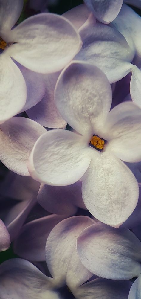 Photograph by Юлия Таран