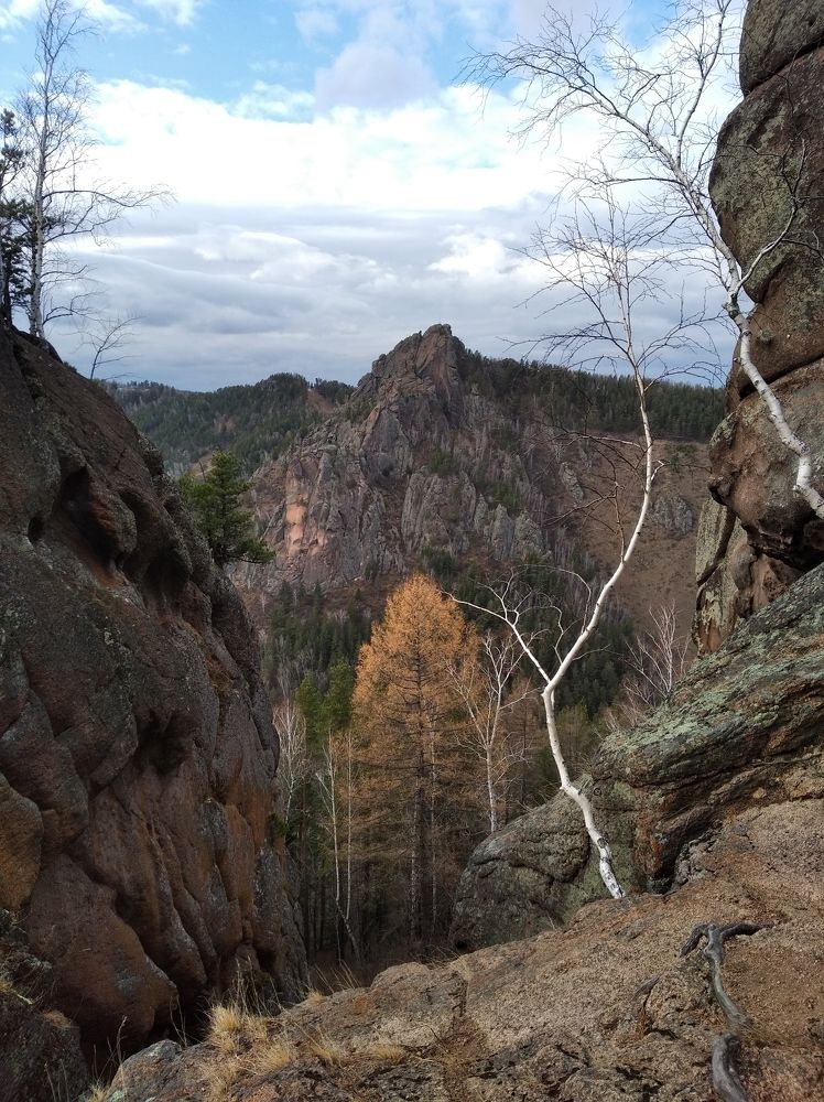 Фотография автора Анастасия