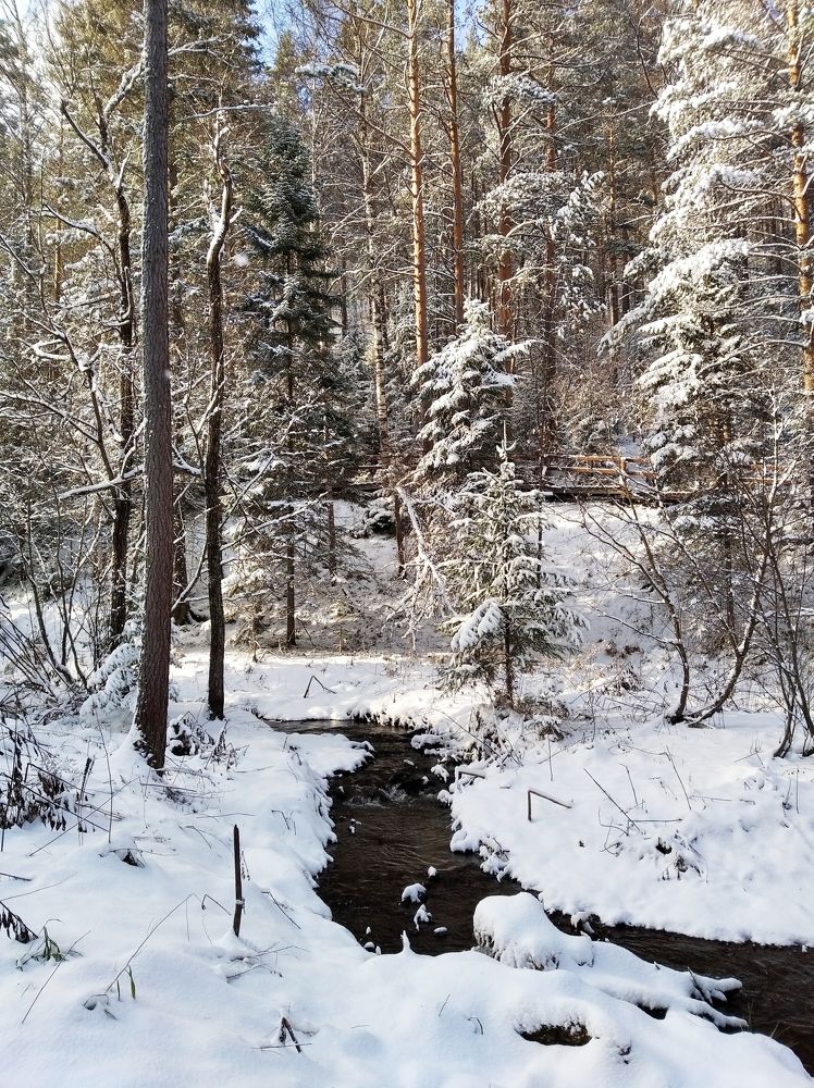 Фотография автора Анастасия