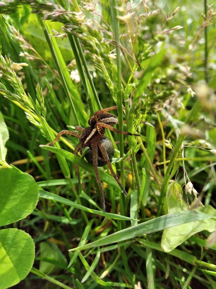 Фотография автора Анастасия