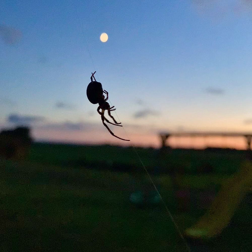 Photograph by Марина Иванова