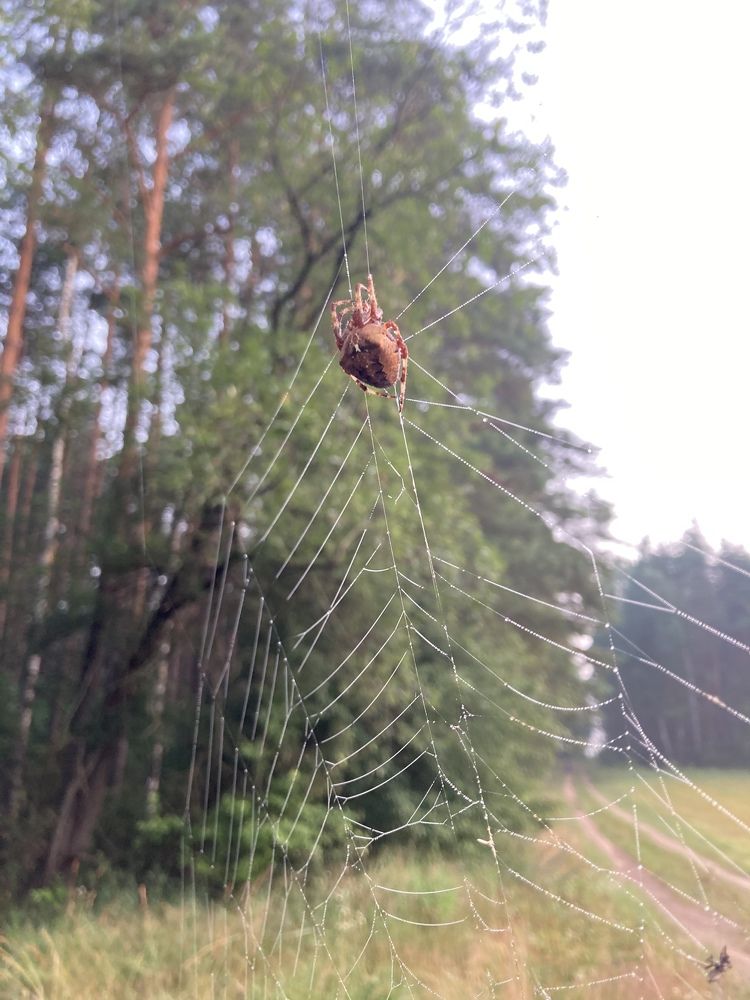 Photograph by Марина Иванова