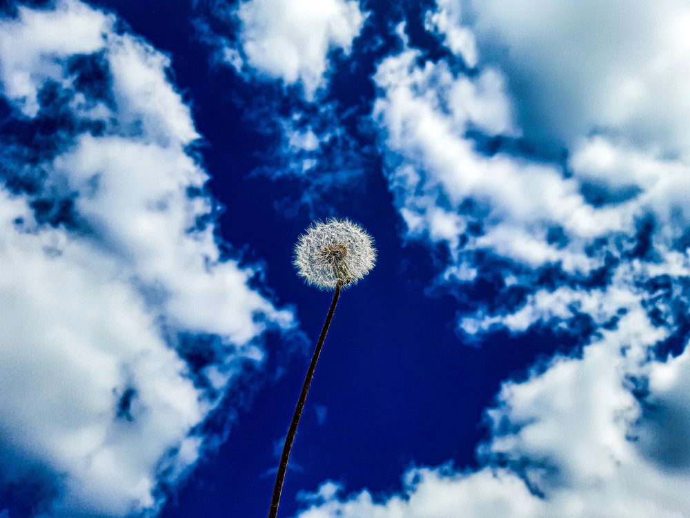 Photograph by Alyona Symonenko