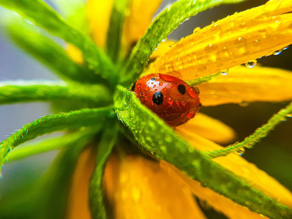 Photograph by Alyona Symonenko