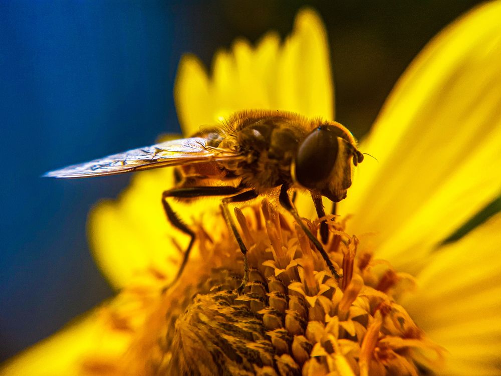 Photograph by Alyona Symonenko