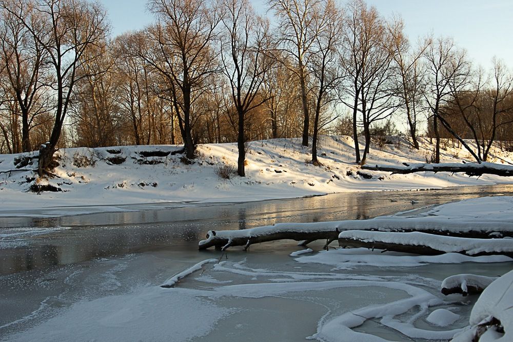 Фотография автора Екатерина Першина