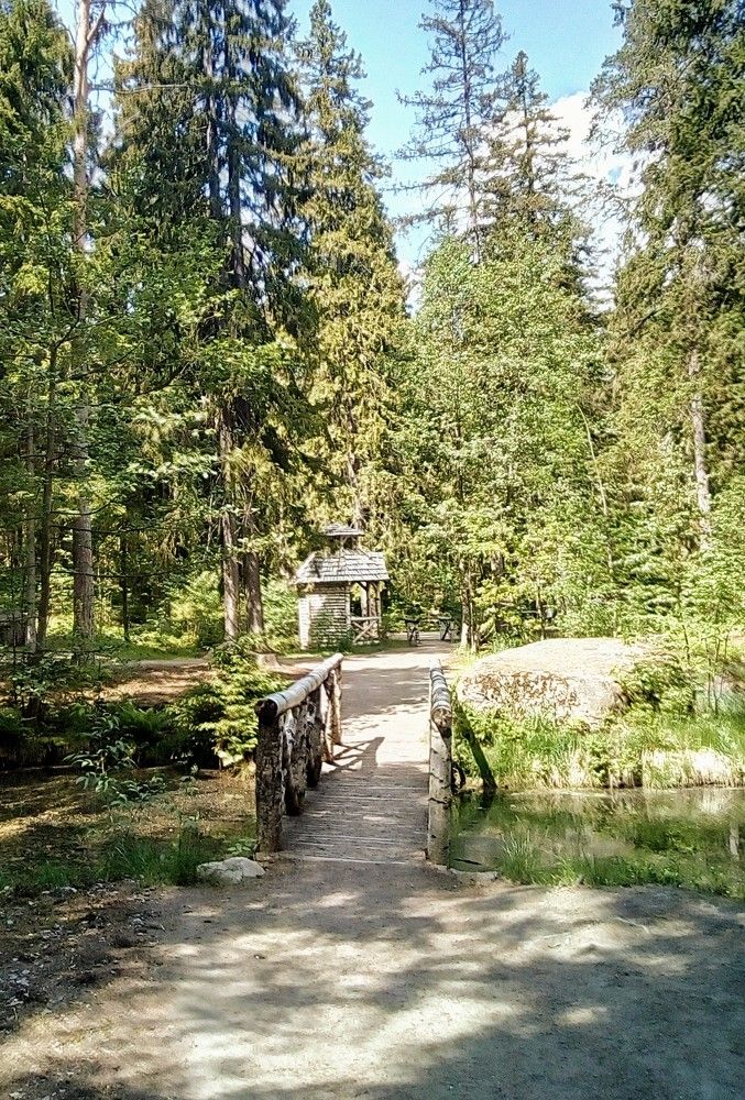 Фотография автора Irina Mihailovskaya