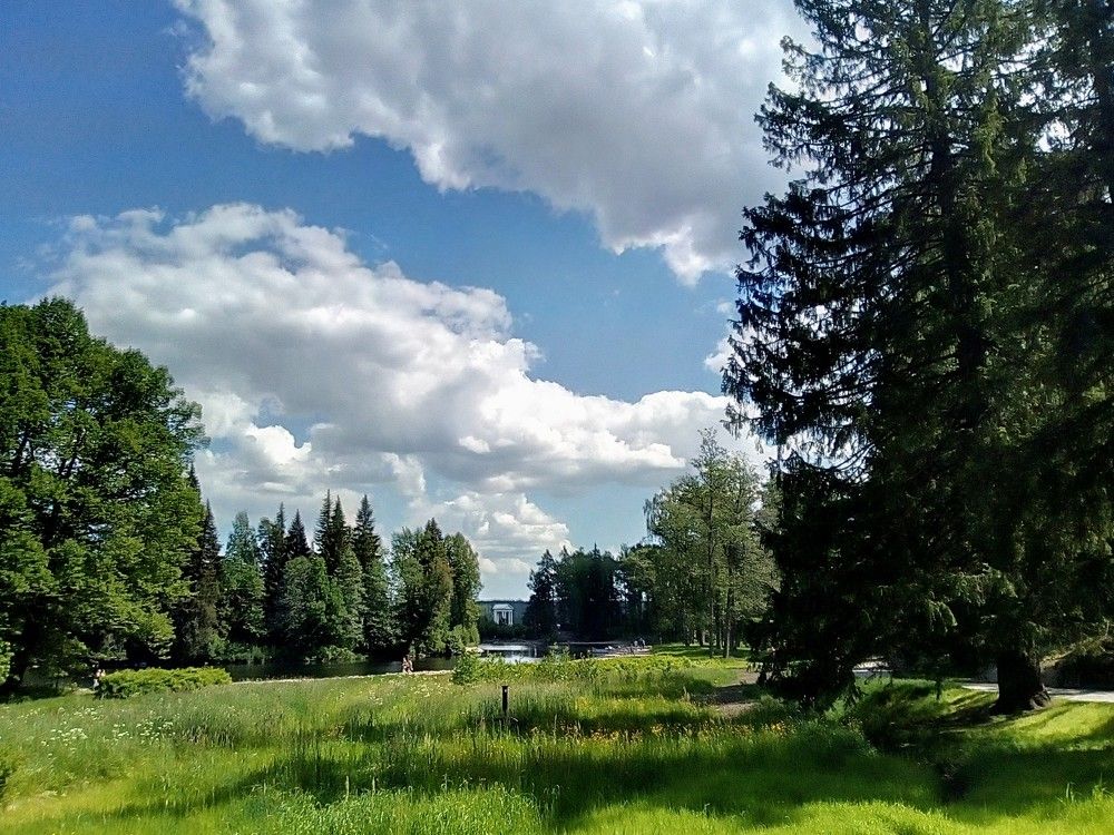 Фотография автора Irina Mihailovskaya