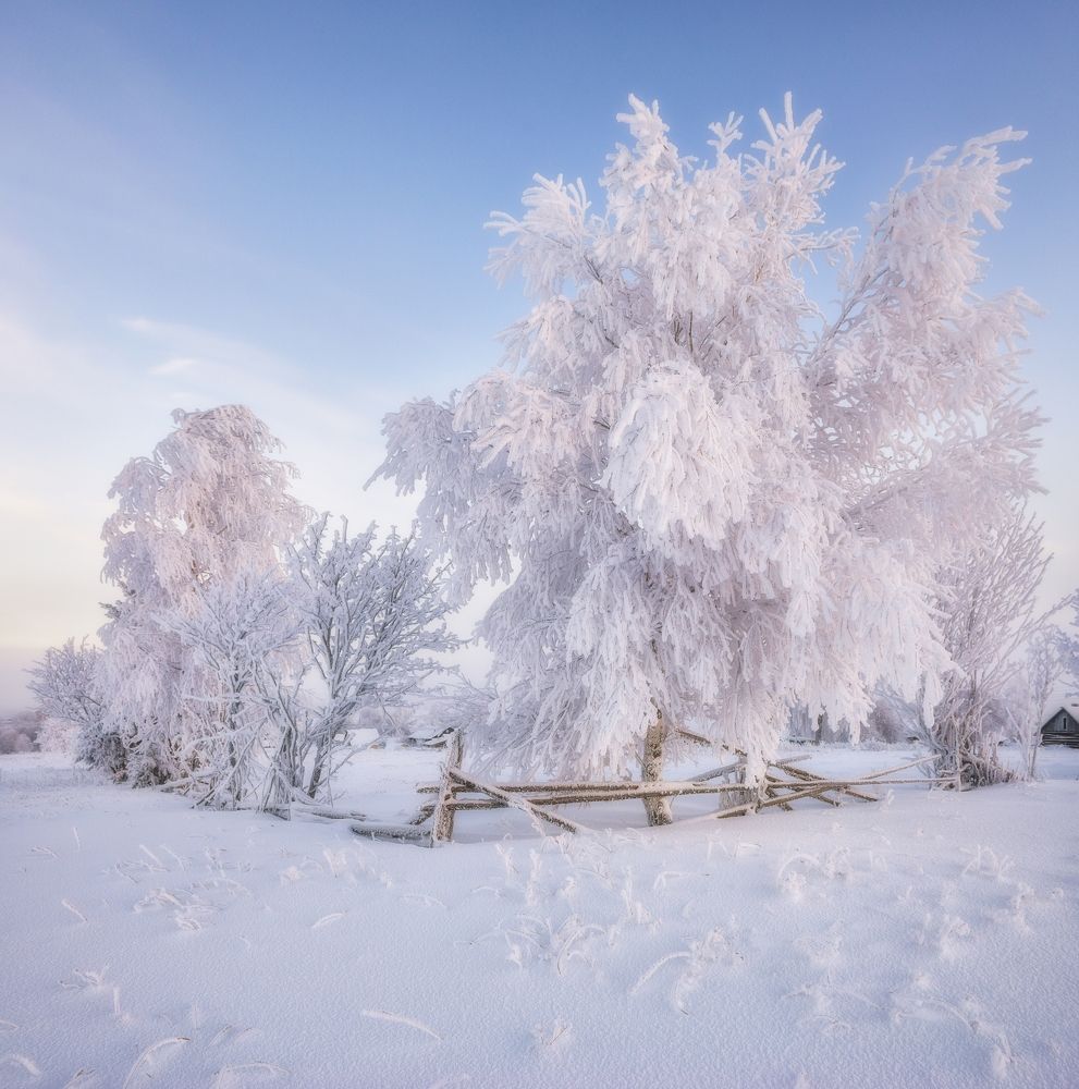 Photograph by Михаил Устюжанин