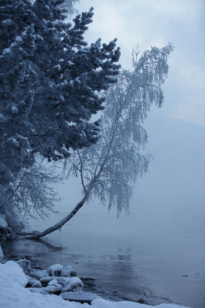 Photograph by Иван Зиновьев