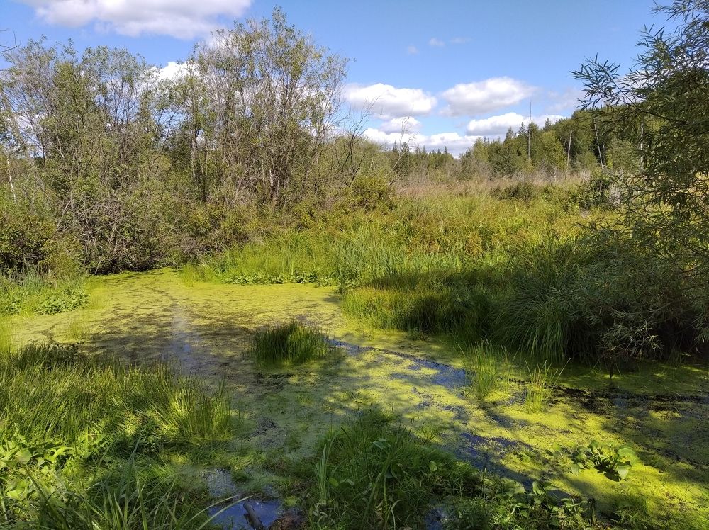 Фотография автора Анастасия