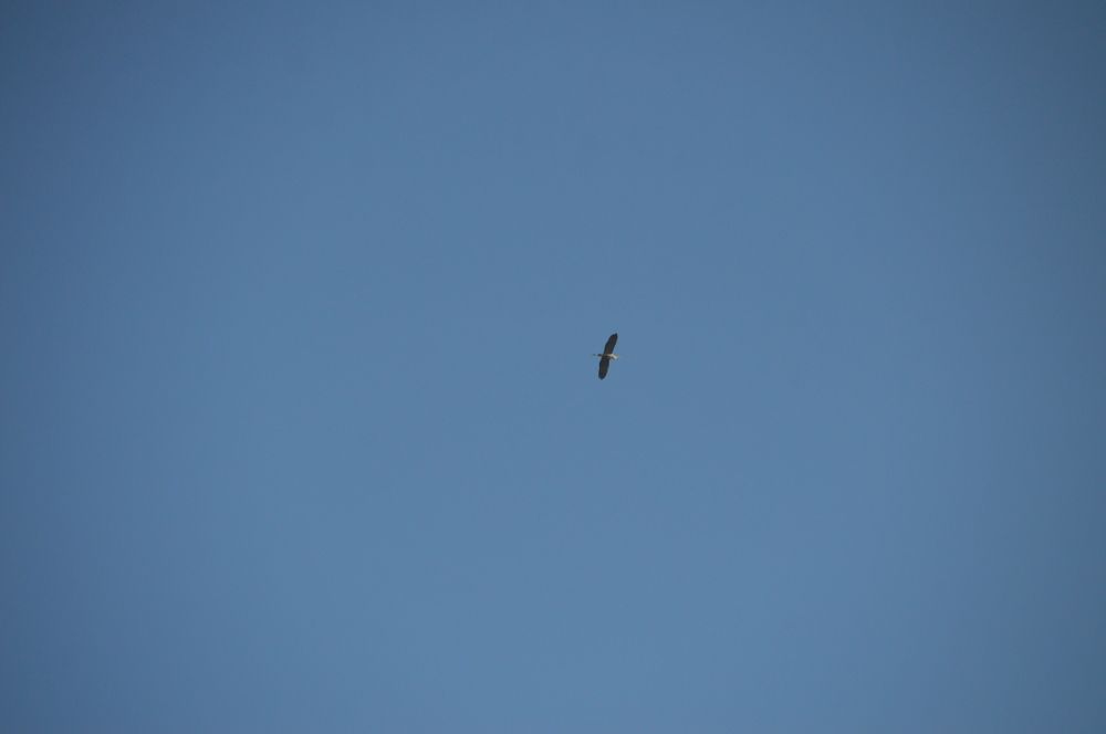 Photograph by Drago Ilisinovic