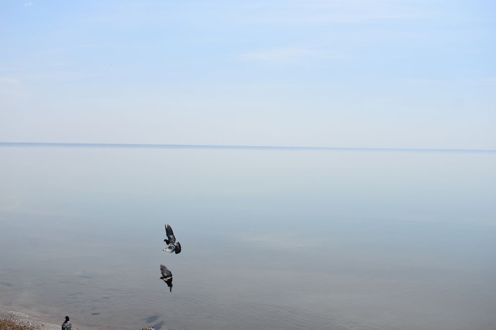 Photograph by Андрей_Юденков