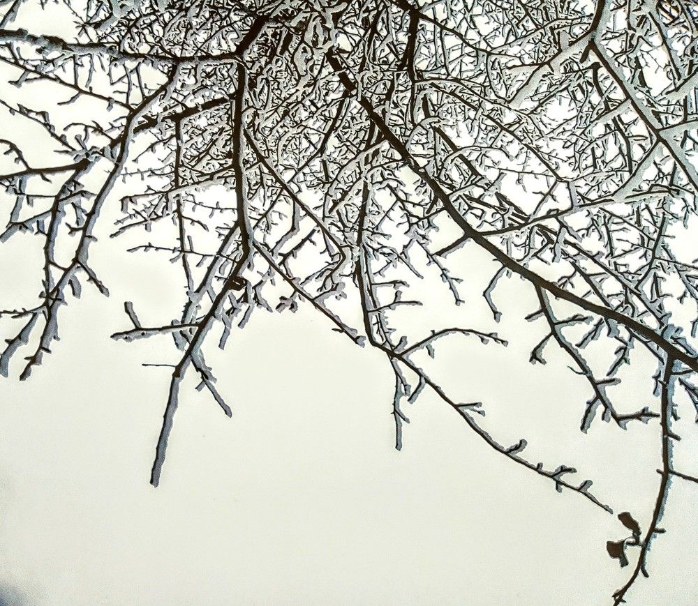 Фотография автора Irina Mihailovskaya