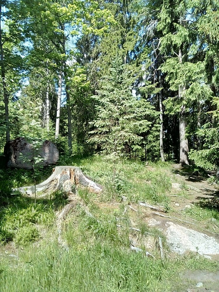 Фотография автора Irina Mihailovskaya